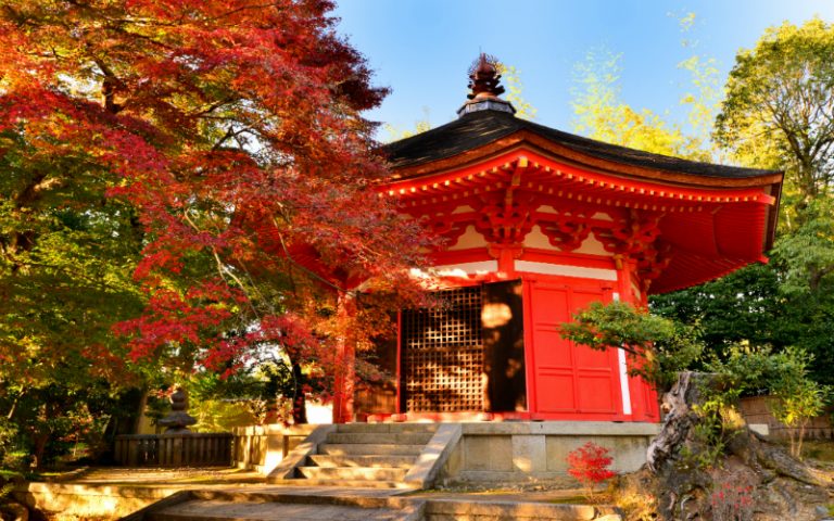 TRIPSTER TRAVEL | Cruzeiros nacionais, internacionais e roteiros exclusivos para sua viagem dos sonhos! Ásia & Oriente Médio