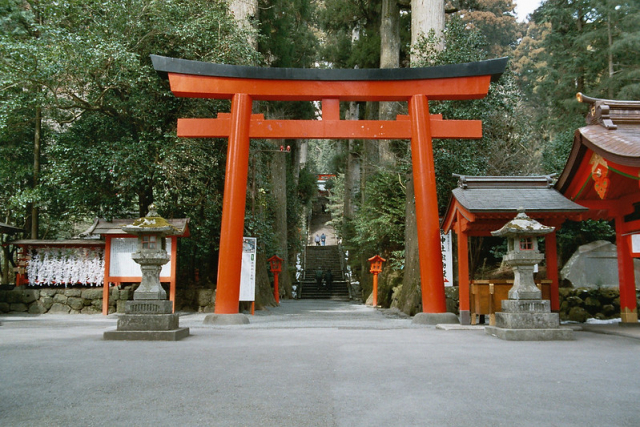 Luxurious Japan