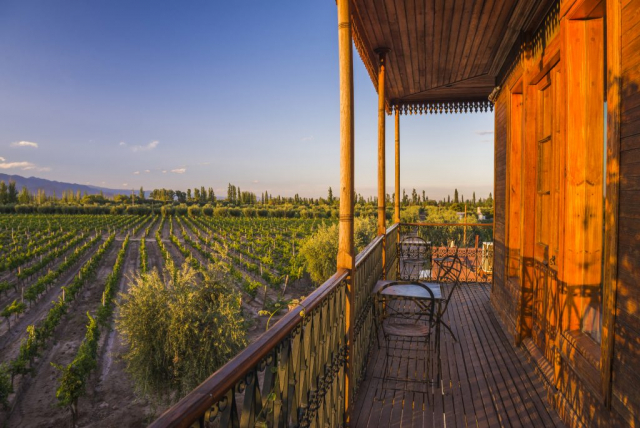 Mendoza – Valle do Uco