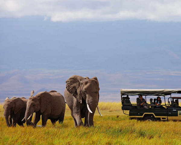 Quênia Budget – Nairobi, Amboseli National Park e Masai Mara National Reserve